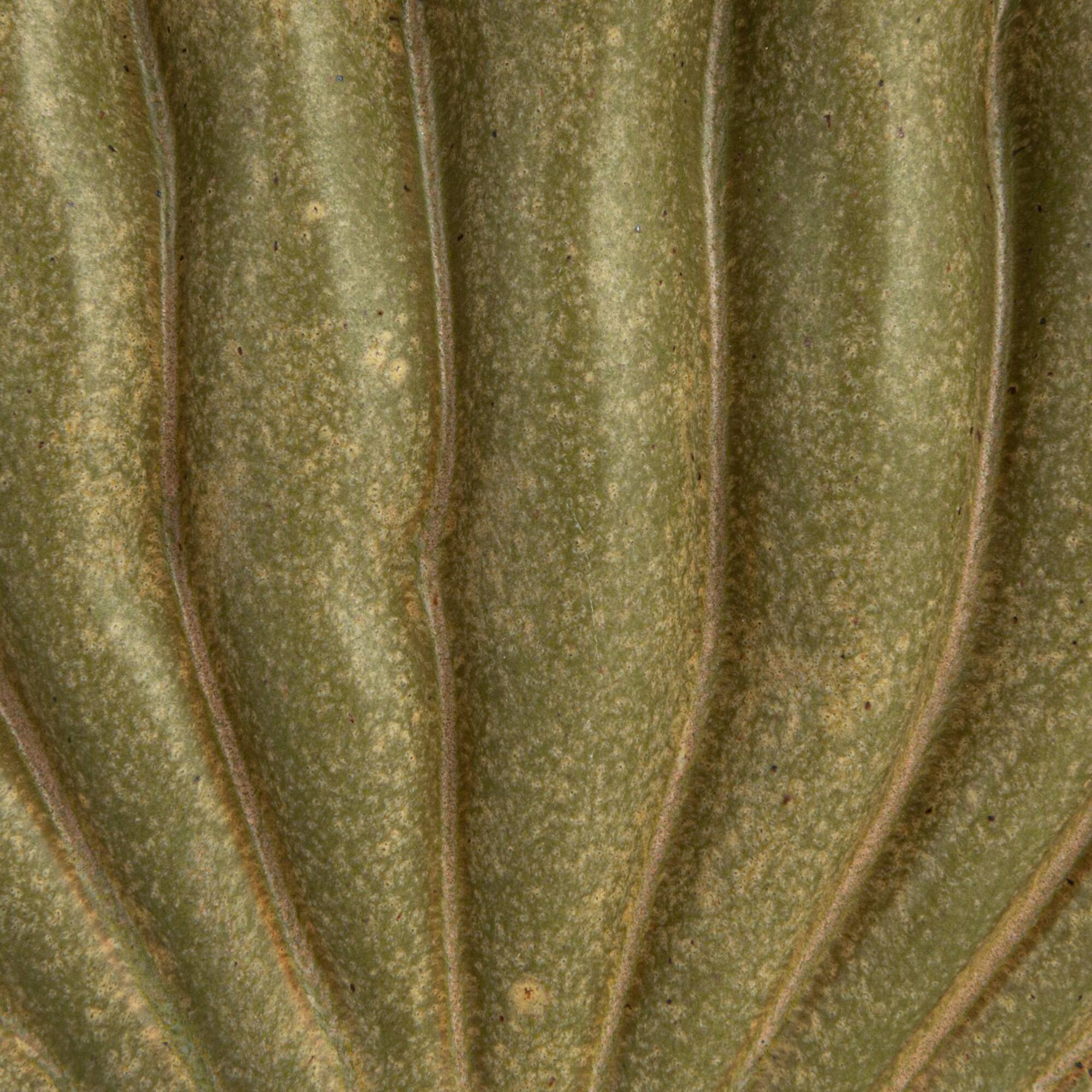 Hello Honey® 8" Green 9 Sectioned Sculptural Stoneware Vase